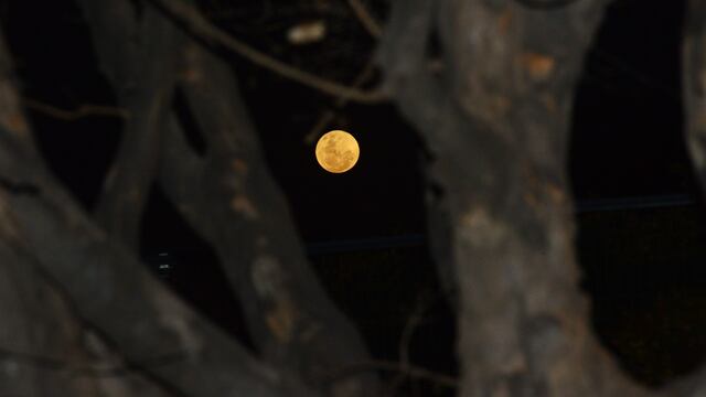 Superluna de ciervo 2022. (Javier Ferreyra / La Voz)