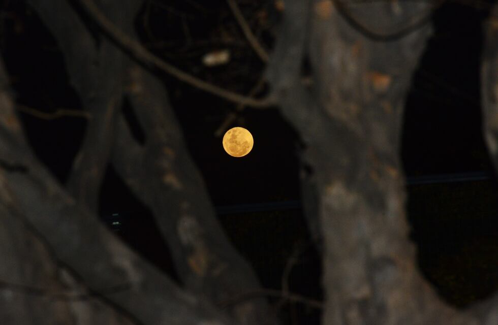 Luna de Ciervo: ¿de qué se trata el fenómeno que puede verse en Córdoba?