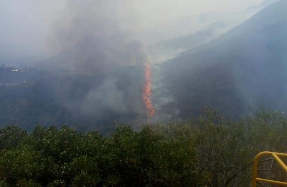 "Tenés que verlo para creerlo": el video que muestra cómo una cruz se salvó del voraz incendio