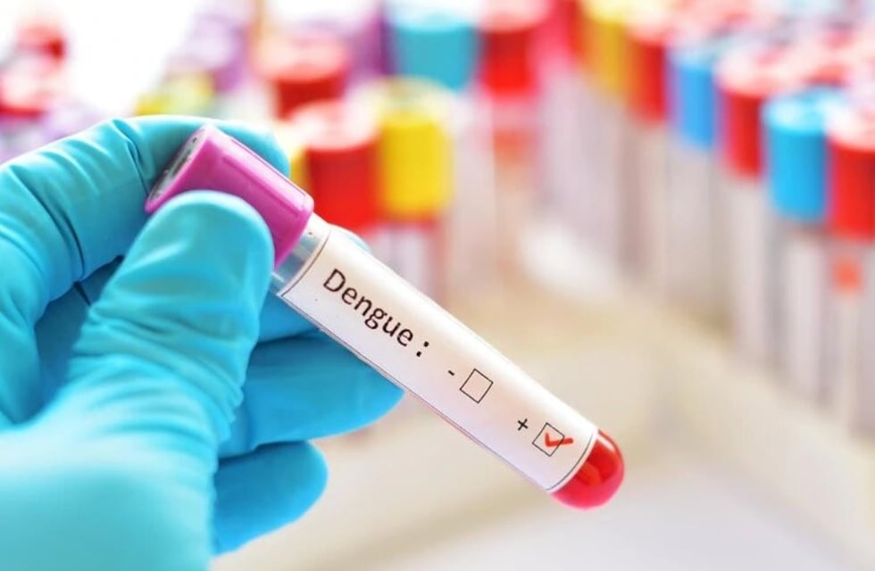 Dengue: en Misiones la mayoría de casos corresponde al serotipo DEN-1