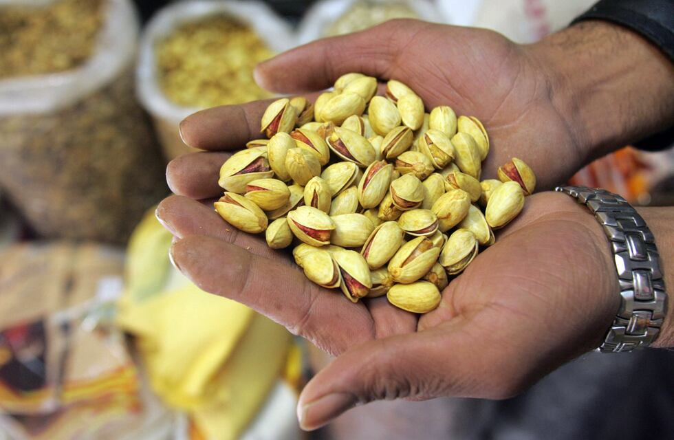 Buenas noticias para los productores de pistacho