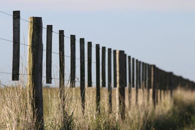 Alambrado - Fotografía: Ramiro Bustinza