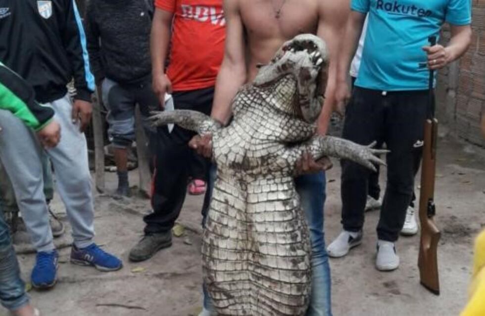 Un grupo de jóvenes mató a un yacaré en Tucumán