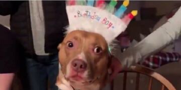 Buda festeja su cumpleaños en familia