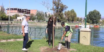 Jornada de forestación en el Playón Municipal de Carlos Paz