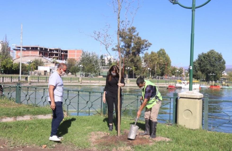 Jornada de forestación en el Playón Municipal de Carlos Paz