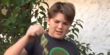 El pequeño Renato y su pajarito\u002E