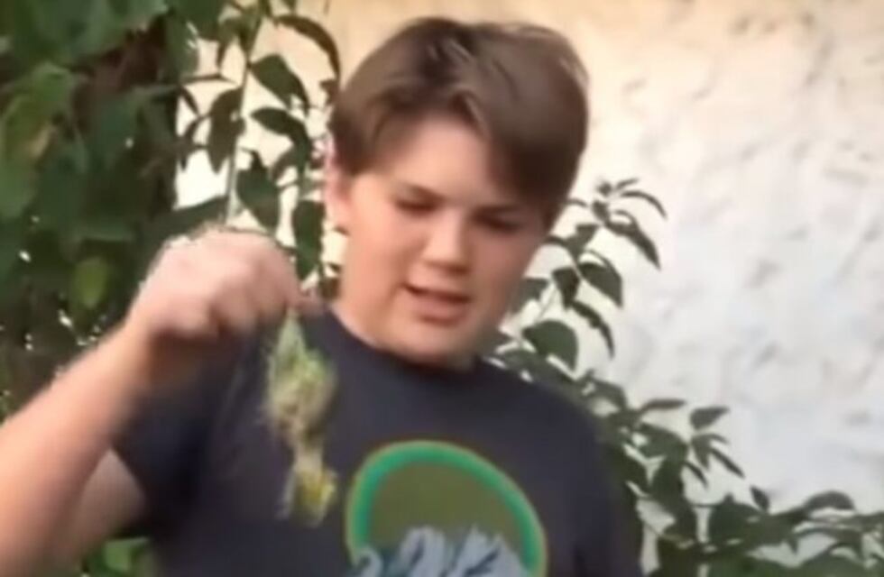 "Adiós, Chimuelo": el primer video viral de 2019