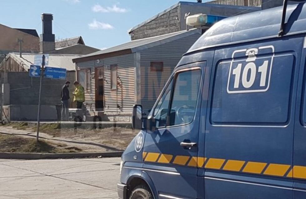 Incautaron plantas de marihuana gracias a la denuncia de los ladrones