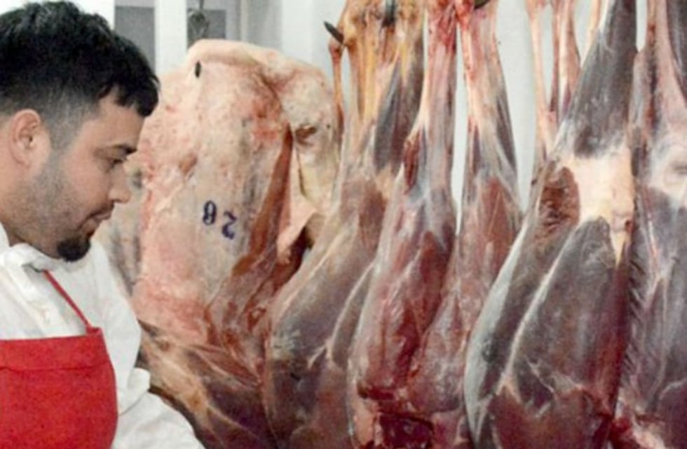 Cómo es y a qué sabe la carne de guanaco