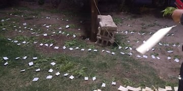 La Policía secuestró los plantines\u002E