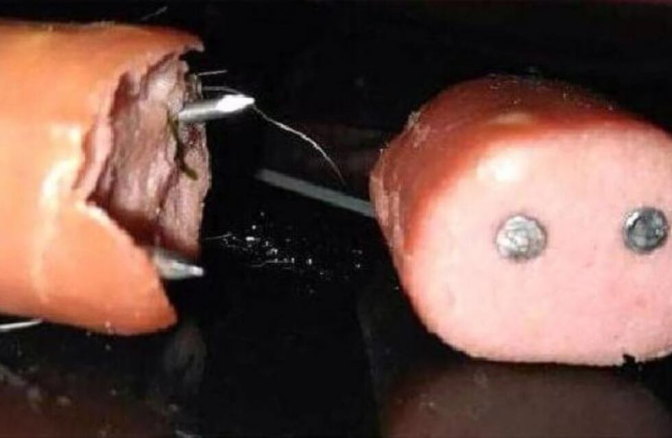 La carta viral de un veterinario a un hombre que le dio comida con clavos a una perra