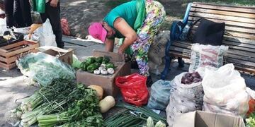 Trabajadores realizarán un verdurazo en Plaza Independencia\u002E (CIMECO)