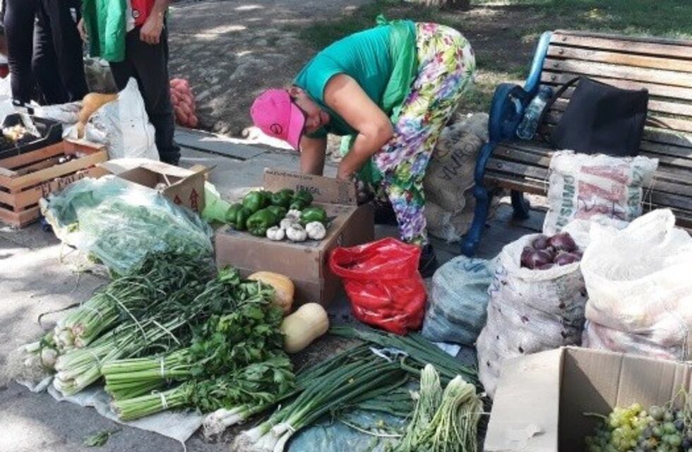 Trabajadores realizarán un "verdurazo" en Plaza Independencia