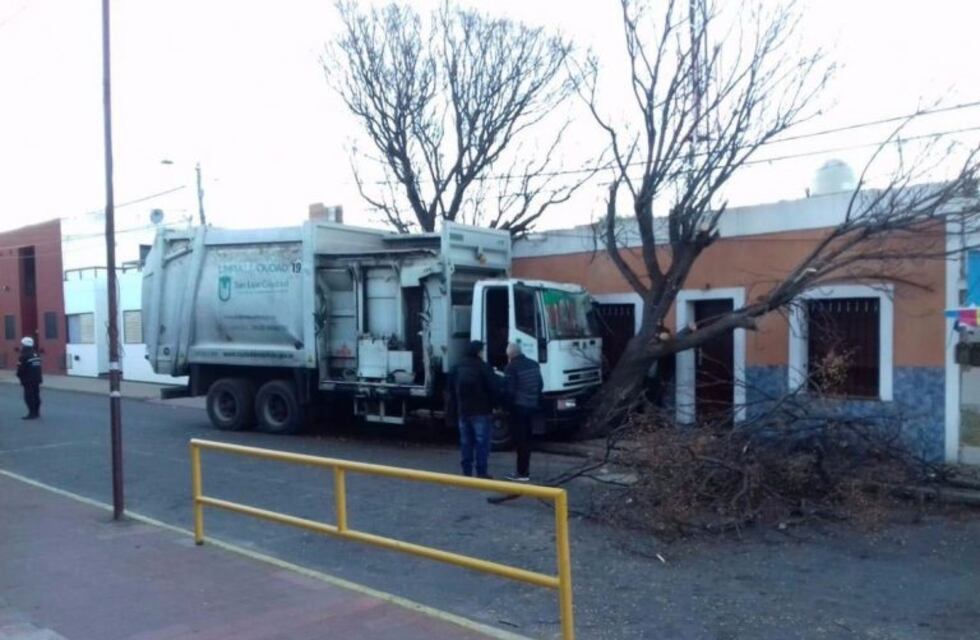 Un camión recolector de basura perdió el control y chocó contra dos árboles