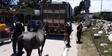 Secretaría de estado y Comunicación Pública\u002E