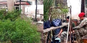 Soldados locales ayudando a trasplantar plantines en el Vivero Municipal\u002E