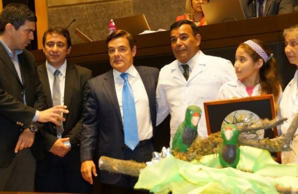 Misiones investigará y tratará enfermedades con Medicina Regenerativa y nuevos tratamientos