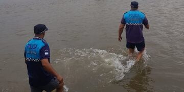 Foto: Policía de Tucumán\u002E