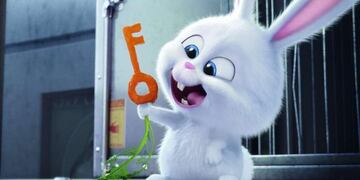 La vida secreta de tus mascotas