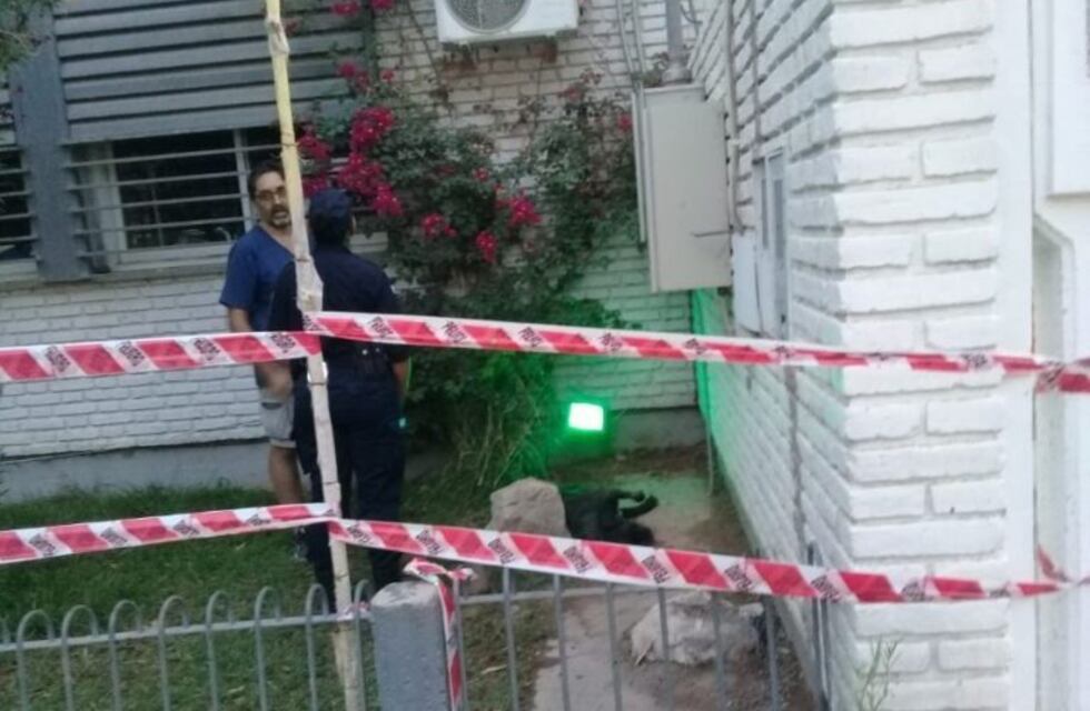 Preocupación por un perro que murió electrocutado al tocar una farola municipal