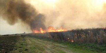 Cañaverales de Tucumán\u002E