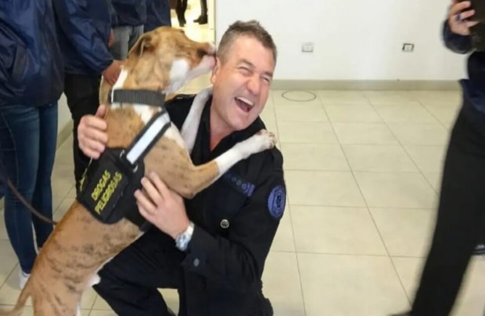 El tierno reencuentro del perro Chizzo con el jefe de la Policía Federal