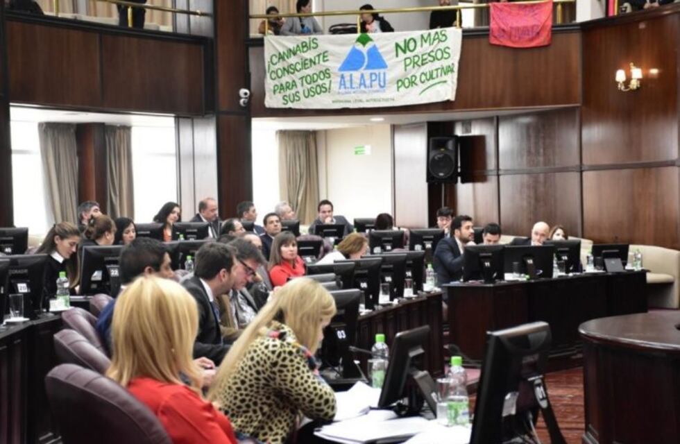 En San Luis ya es el ley el uso de cannabis medicinal