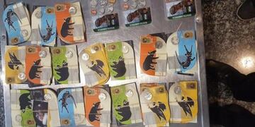 Lo incautado en el Taravella