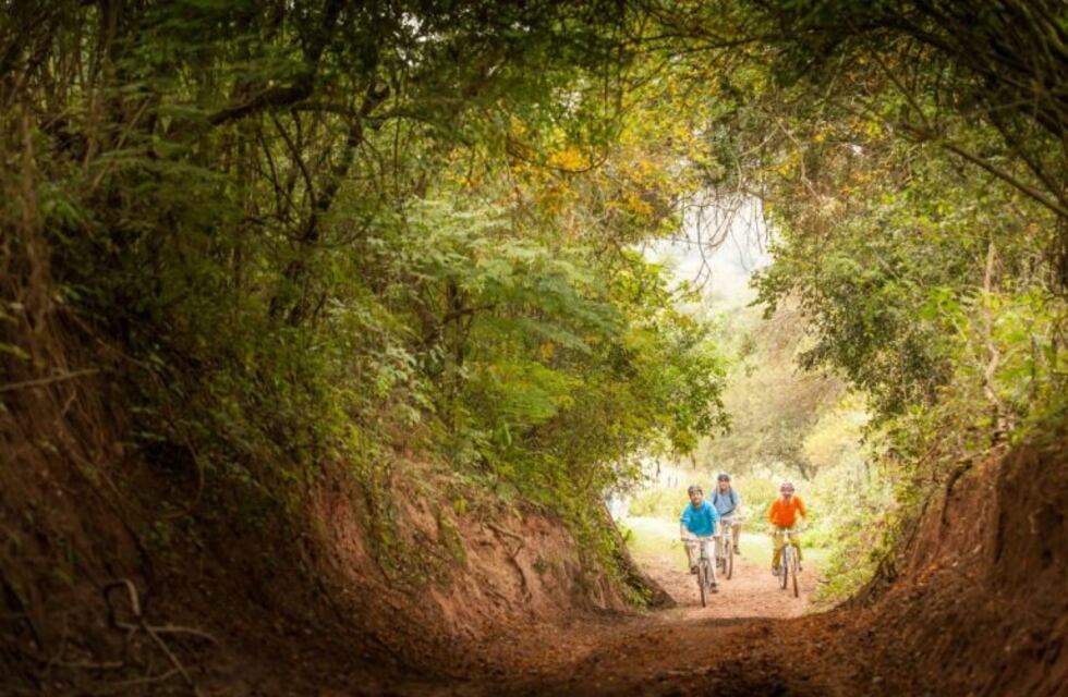 Esta semana podría volver el turismo interno y evalúan el interprovincial
