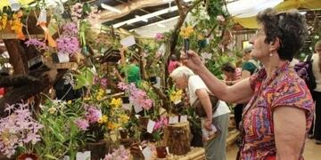 Finalmente se suspende la Fiesta Provincial de la Flor en Montecarlo