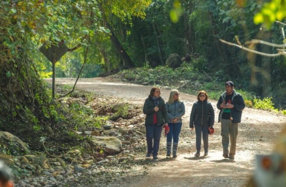 La selva jujeña también es un atractivo turístico invernal