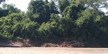 Apareció un cuerpo en uno de los pasos ilegales que conectan Salta y Bolivia\u002E (Policía de Salta)