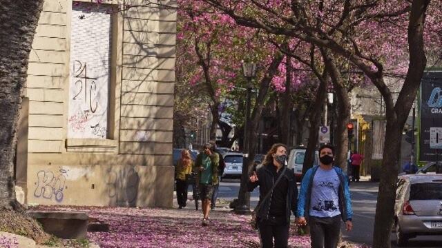 El sábado arrancó fresco pero trae promesas de buen tiempo (@SebaGranata)
