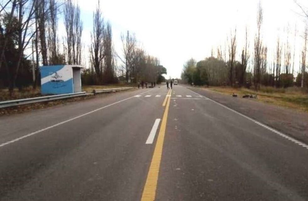 Encontraron a un joven muerto al costado de la ruta 40 en Tunuyán