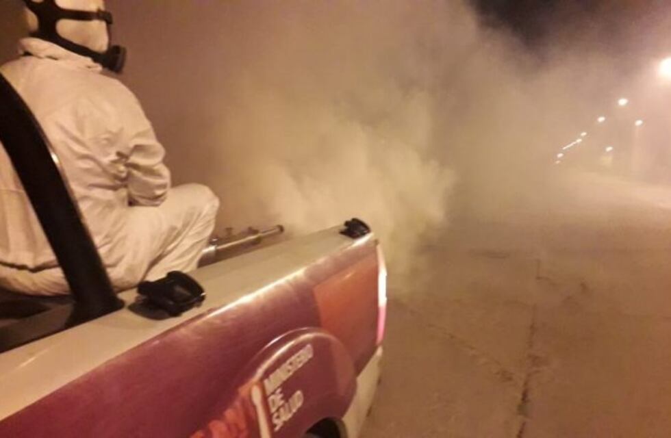 Detectaron un caso de dengue importado en San Luis