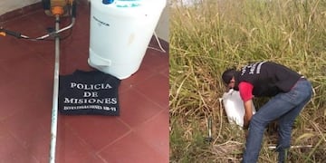 Los elementos recuperados estaban ocultos en un monte\u002E