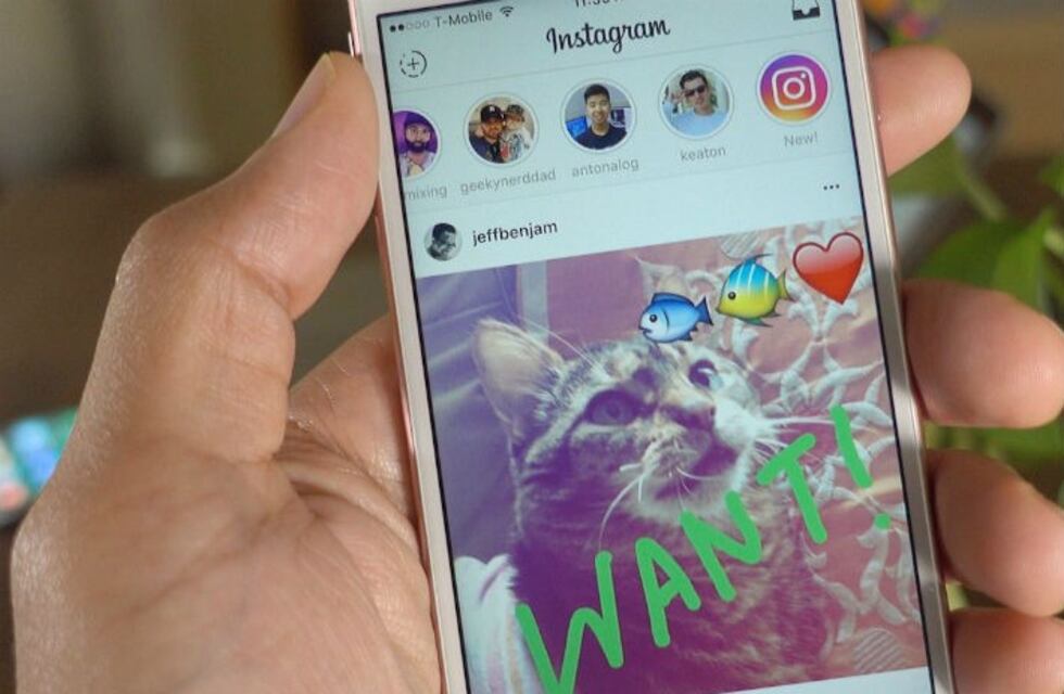 Instagram Stories cumplió un año