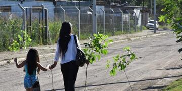 Villa Allende plantó más de 100 árboles
