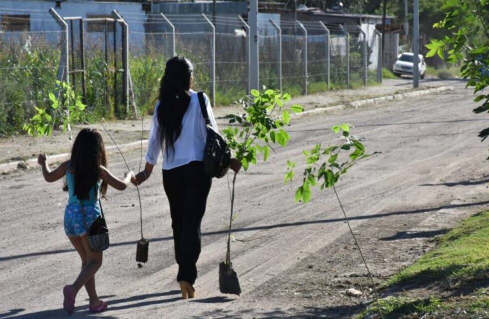 Villa Allende: plantaron 100 árboles en Lomas Sur