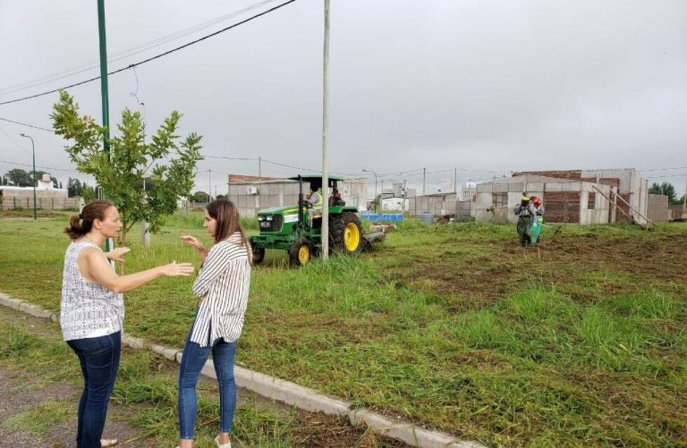 La Municipalidad allana, corta el césped, multa y pasa la factura