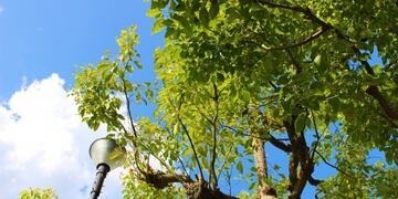 La Puerta suma medidas en favor del medio ambiente