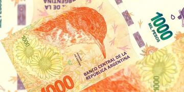 La mujer fue trasladada a la seccional mientras que su compañero se dio a la fuga\u002E (Archivo)