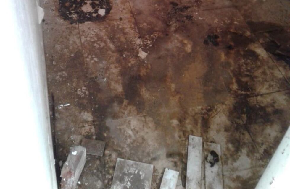 Concejal Sadi Gelós: "Los baños del cementerio se encuentran en un deplorable estado"