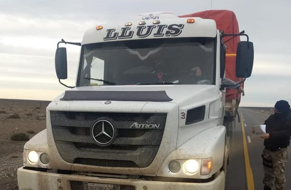 Secuestran 25 mil kilos de lana por falta de documentación en ruta nacional 3