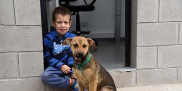 Continúa la campaña de adopción de mascotas pese al aislamiento (Municipalidad de Rosario)