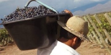 Se convirtió en ley el Fondo Anticíclico para ayudar al sector vitivínicola\u002E