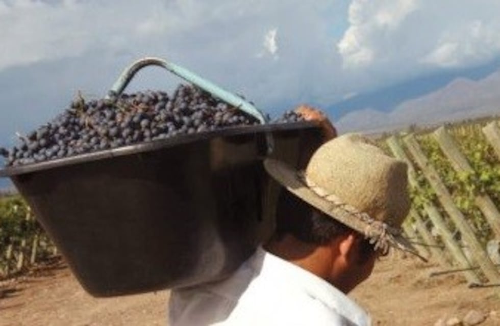 Las exportaciones crecieron un 14% en Mendoza