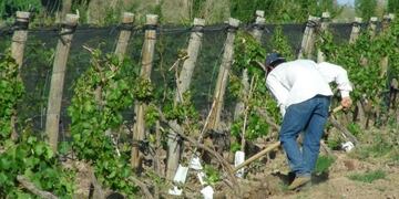 Hasta el 31 hay tiempo de actualizar el RUT