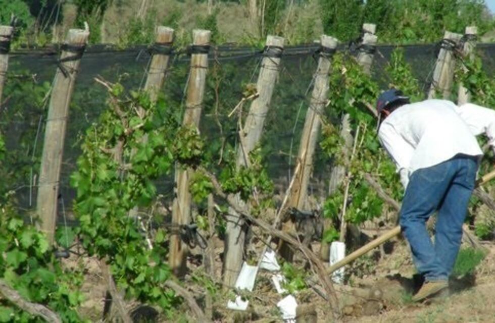 Hasta el 31 hay tiempo de actualizar el RUT